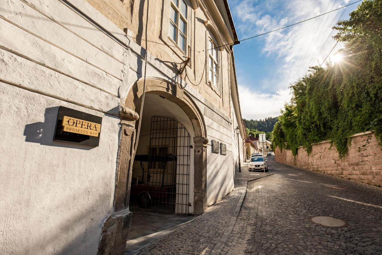 Apartman Blue Moon Banská Štiavnica Buitenkant foto